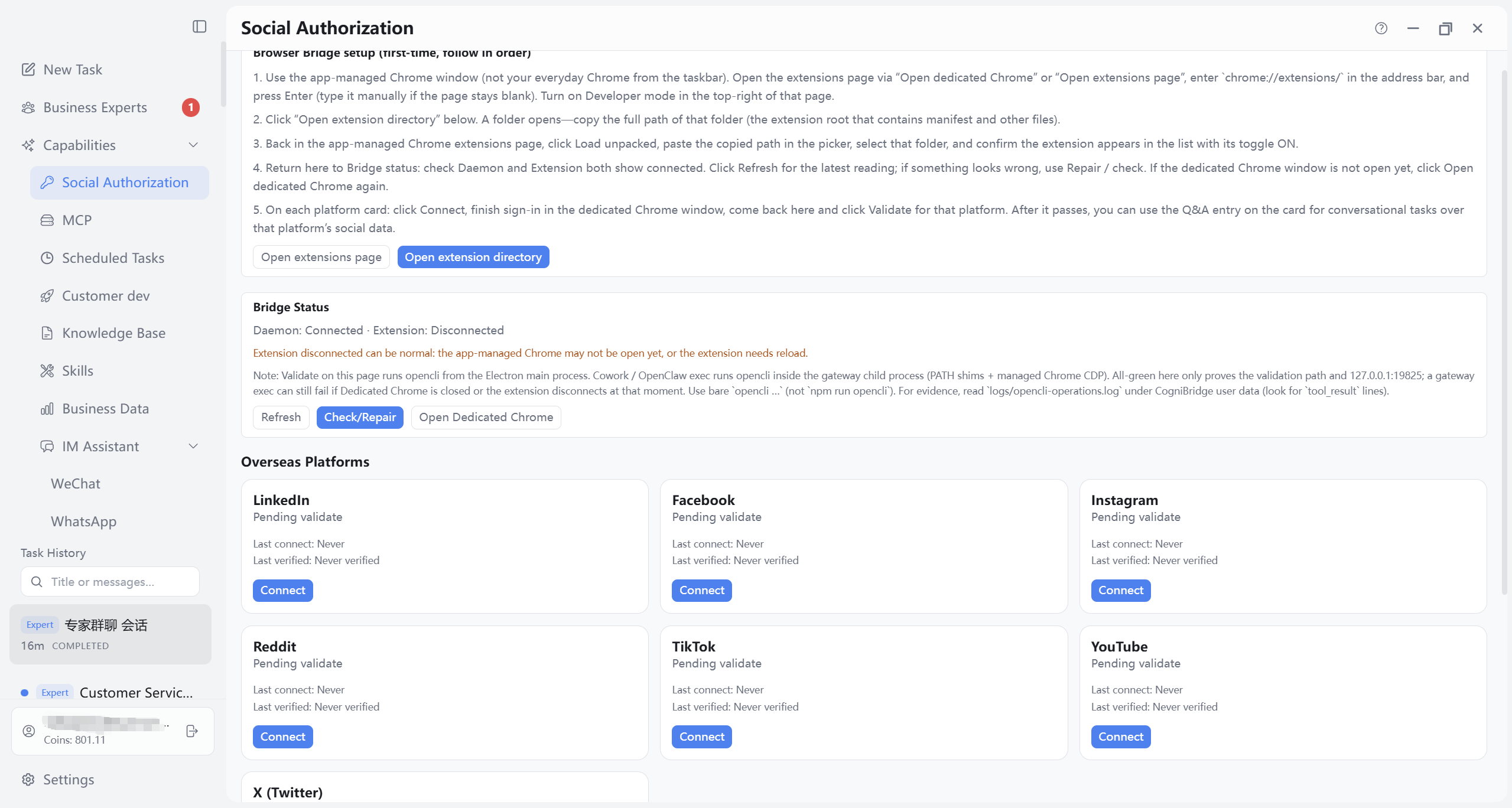 Social Authorization page overview (bridge area and platform cards)